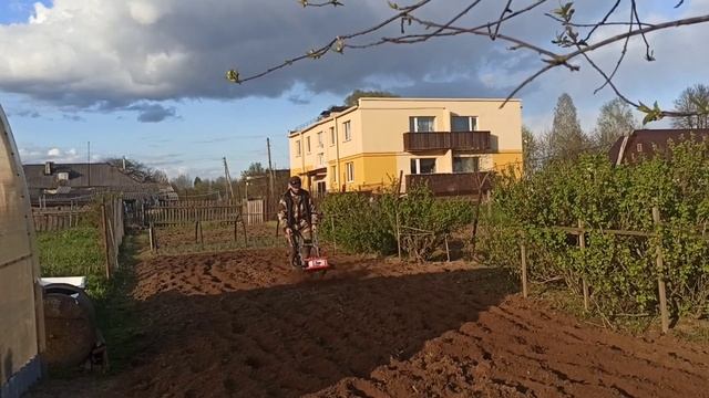Миникультиватор WinzoR  TL60TF