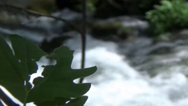 #РАФТИНГ #RAFTING #Я В ТУРЦИИ ВПЕРЁД ЗА ЭМОЦИЯМИ. #турция #обзорэкскурсии #отпуск #путешествие #я смотреть онлайн