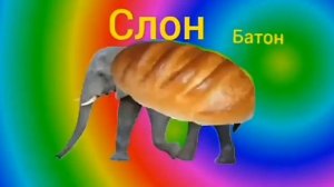слон батон туц туц туц