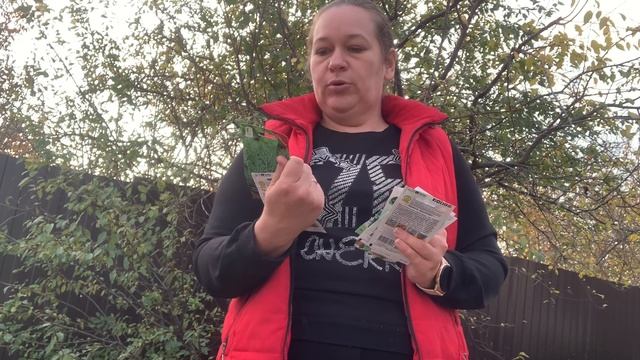 Что посеять под зиму. Часть 2. Посев семян щавеля, петрушки и укропа
