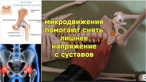 Микродвижения отлично укрепляют тазобедренные суставы. Правила выполнения упражнений