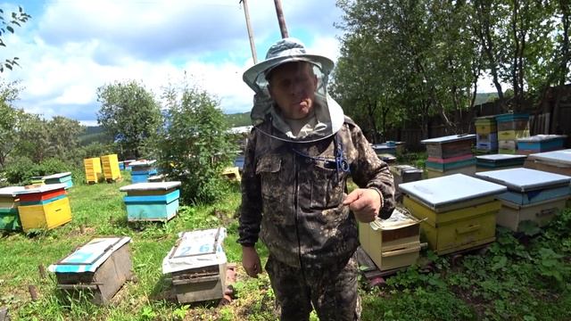 КАК РАБОТАТЬ СО ЗЛЫМИ ПЧЕЛОСЕМЬЯМИ НА ПАСЕКЕ, МОЙ ОПЫТ И СОВЕТ.