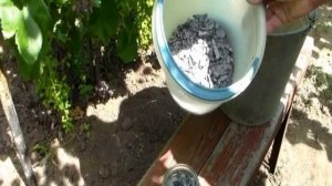 Теплица для винограда
