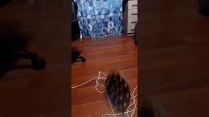 Обзор моего ящика для зимней рыбалки и обзор жерлиц на карпа.