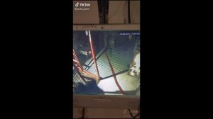 СМЕШНЫЕ МОМЕНТЫ КВЕСТОВ (Tik-Tok) ЧАСТЬ 1