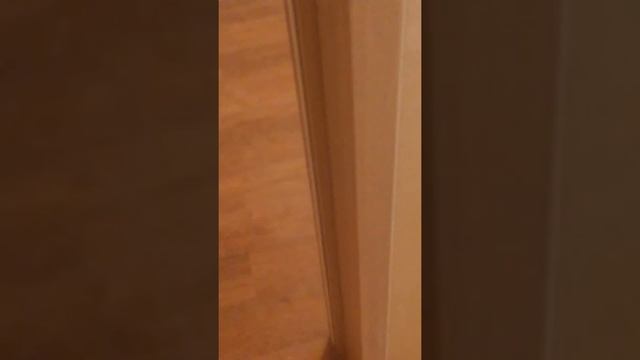 дверь купе-пенал + шкаф-купе.Петропавловск смотреть онлайн