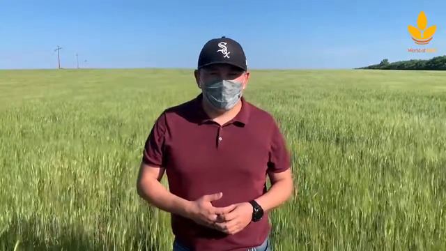 НОВАЯ СИСТЕМА АГРОСТРАХОВАНИЯ В РК  World of NAN