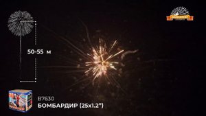 В7630 салют _Бомбардир_ 1,2Х25.mp4