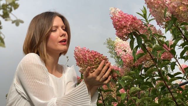 Тільки раз цвіте любов (Alina Kolisnyk cover)