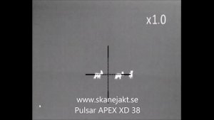 Pulsar Apex XD 38