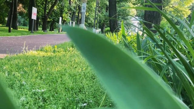Черниговский Вал - главная достопримечательность Чернигова