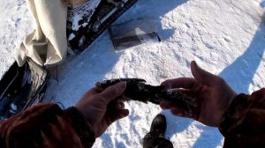 РЫБАЛКА НА ХАПУГУ ХЛОПОК! ЛЮТАЯ ЩУКА РВЕТ ХАПУГУ! ТРОФЕЙНЫЕ ЩУКИ АМУРА! Рыбалка на Амуре