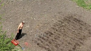 Ах картошка картошка  в кожуре уголёк . 09.05.2019