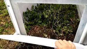 Садовый компостер из полипропиленовых (пластиковых) труб и шифера своими руками (garden composter)