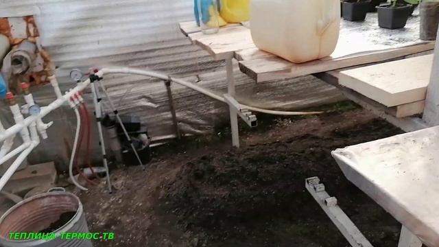 Рассаде огурцов 17 дней от всходов/Болталка про теплицу и огурцы/Выращивание огурцов зимой в теплиц смотреть онлайн