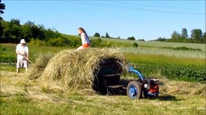 Дед и Вероника. Лето, июнь, сенокос. 2021г. Making hay in the village.