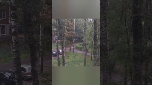 Доброе не бодрое🫠