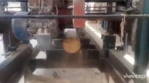Дисковая пилорама Ц2УБС-2