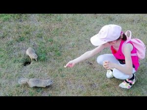 Саша и суслики