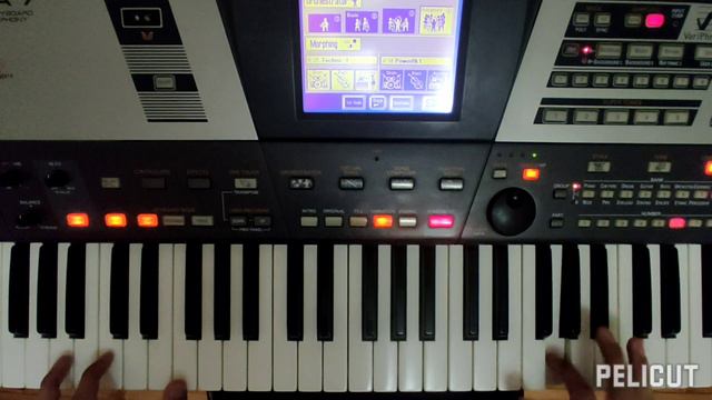 LIAN ROSS & Can You Love Me: Roland VA7 смотреть онлайн