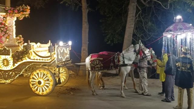 shiv baggi & lights for booking contact us 74948 47088....93548 47088.... смотреть онлайн