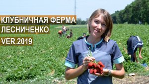 Клубничная ферма Лесниченко. VER.2019 Что нового в хозяйстве?