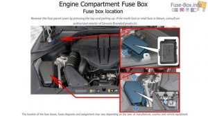 Fuse box location and diagrams: Genesis GV80 (2021-2023)