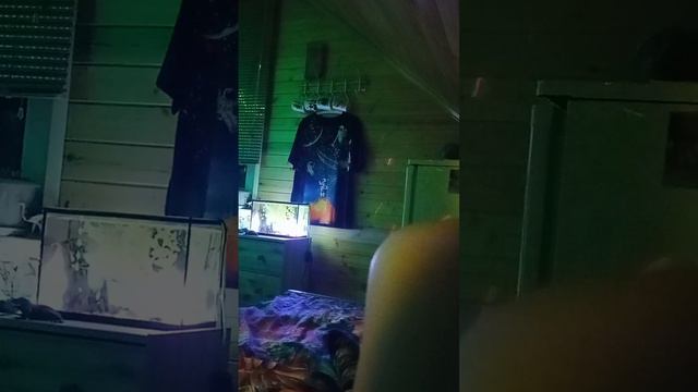 курица чумятся курица упала курица подели курица вся грязная курица вся сдохла смотреть онлайн