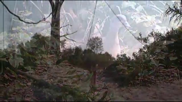 Lens_ Зоопарк Чапультепек, Мексика