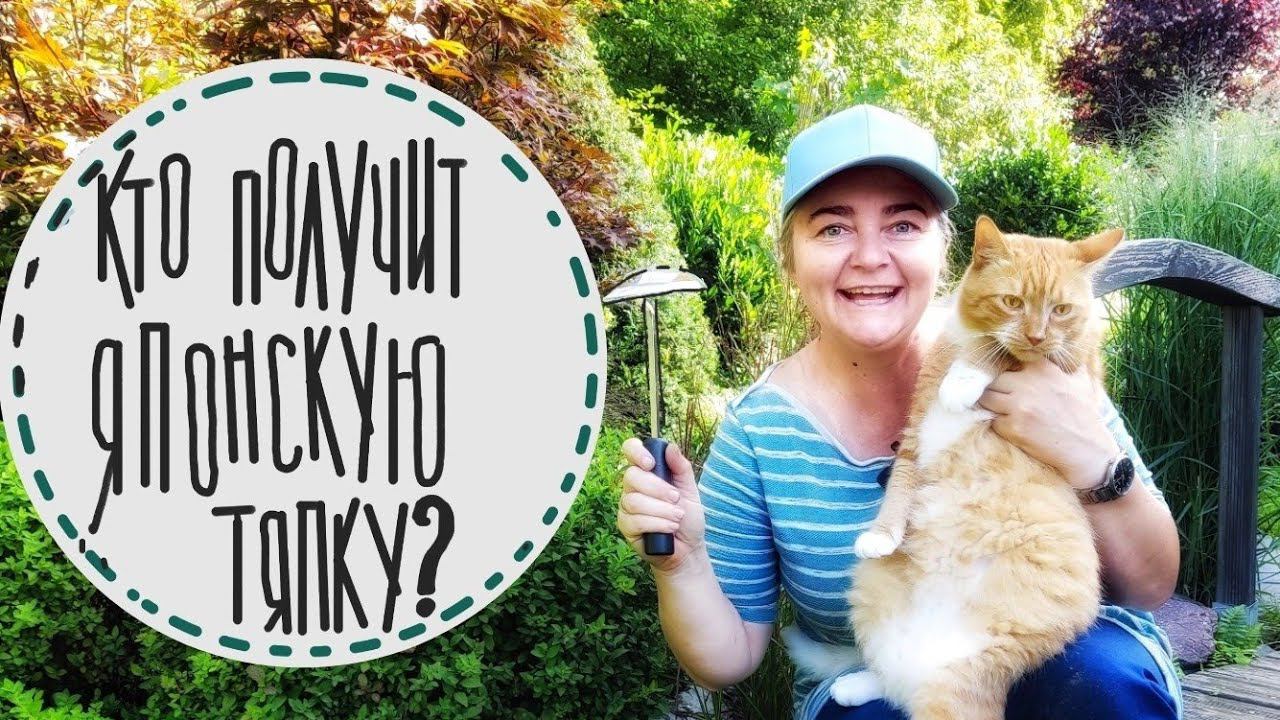 Конкурс порядочный садовод! Идеи для организации садовых инструментов. Голосование закончено!