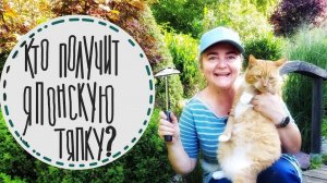 Конкурс порядочный садовод! Идеи для организации садовых инструментов. Голосование закончено!