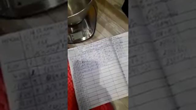 Взвешивание щенков чихуахуа 6 дней( помет Рады и Мажора)