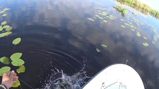 Ну очень большая озеро Неро смотреть онлайн