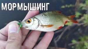 РЫБАЛКА НА СПИННИНГ НАНО ДЖИГ ТЕСТ НОВЫХ ПРИМАНОК
