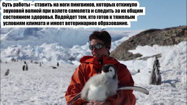 ТОП 8 САМЫХ СТРАННЫХ ПРОФЕССИЙ В МИРЕ! 2021