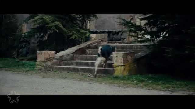 #7Б - Знаю! Будет смотреть онлайн