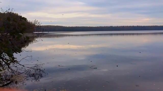 Сарженское смотреть онлайн