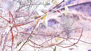 КИШЛОКАКИ МАН БУИ ЧАПОТИ ДОРАД! ГАРИБОН.2020.Дехаи Токак.Ховалинг.|TourClub TAJIKISTAN|