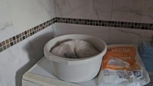 юный космонавт