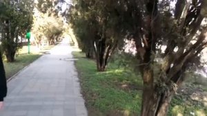 Анапа. Пионерский проспект. Дом отдыха " Голубая даль."