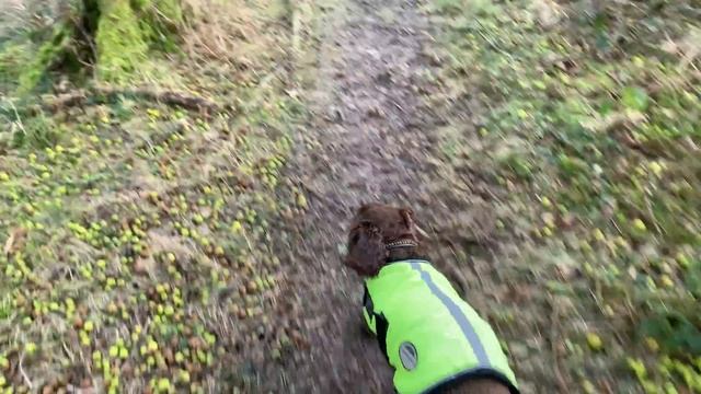 VLOG 6: Is this campsite TOO CHEAP? ?  PART 1 Fforest Fields Campsite Mid Wales  Roseanna Sunley