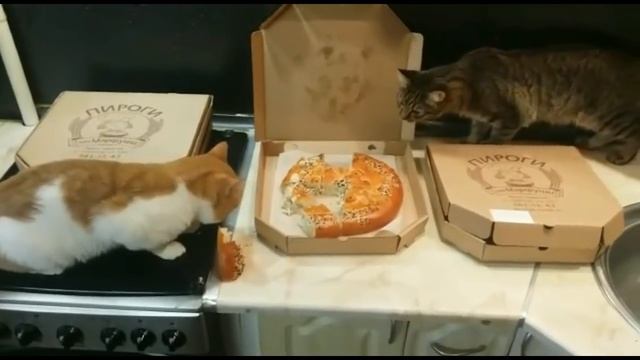 БОРЯ И ПИРОГИ =) смотреть онлайн