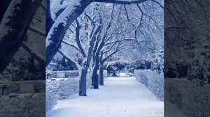 Ах ты зимушка-зима .  Караоке.