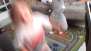 WIN_20240416_18_15_34_Pro