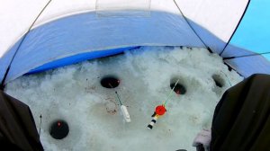 Зимняя Рыбалка мечты 2022.  Карповское вдх, открытие зимнего сезона удалось.