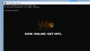 How to Change Display Language of Windows 11 Home Single Language Without Format or Reinstall
