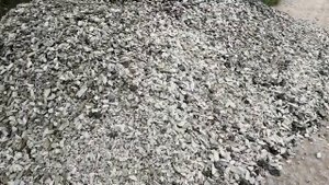 Дорога общего пользования из щебня в снт золотой петушок