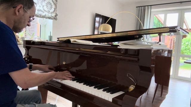 Debussy Clair de lune / Bechstein Concert L-167 смотреть онлайн