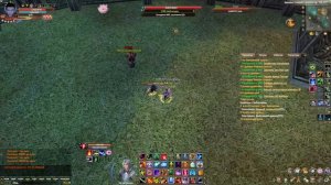 хроники героев, паладин