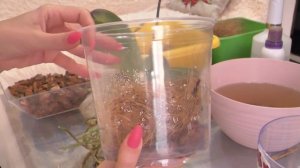 Омоложение орхидеи Фуллер сансет.